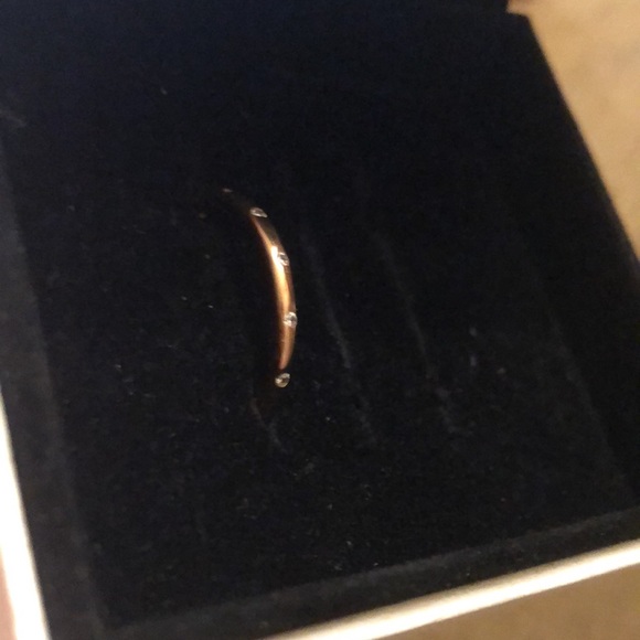 Pandora Rose Gold Band - Picture 2 of 9